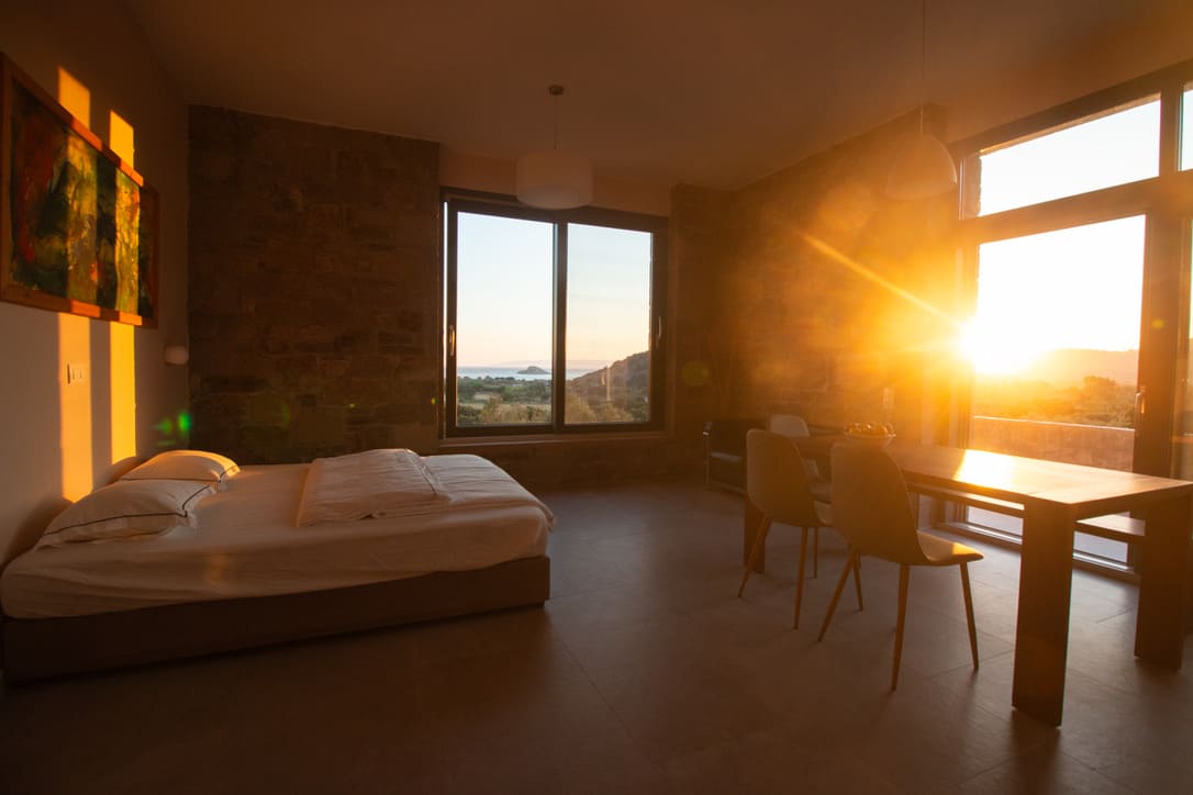 Feather morning mood